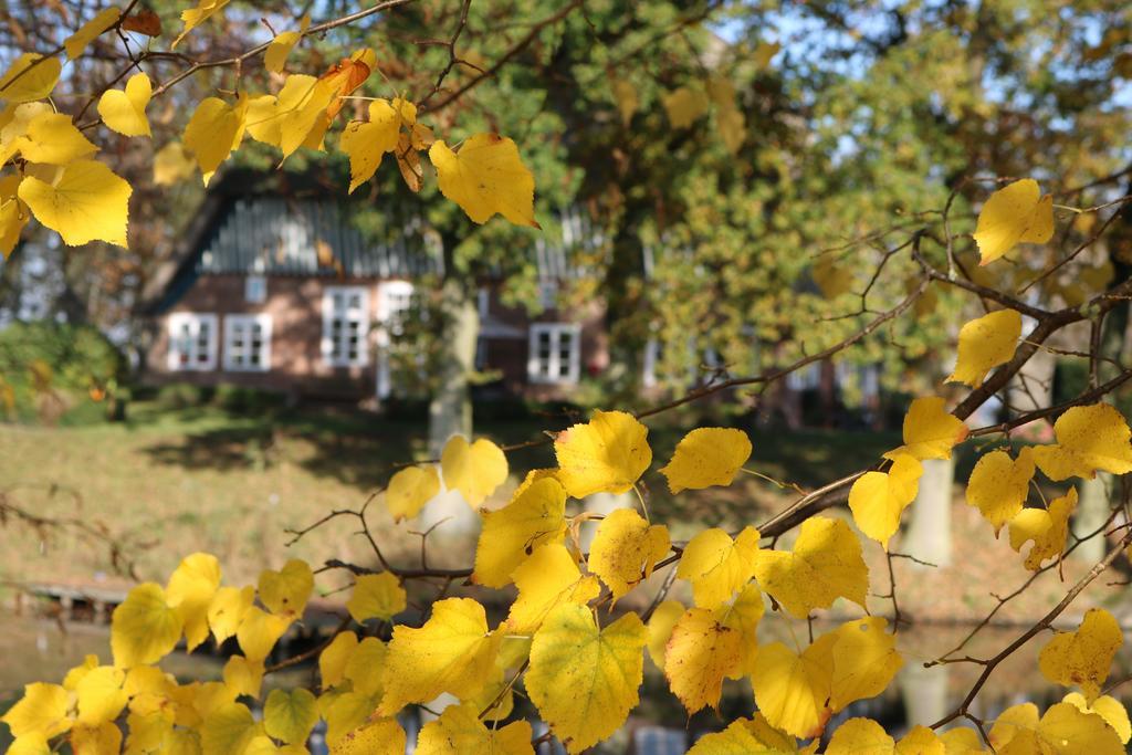 Vila Bielenberg 37 Kollmar Exteriér fotografie